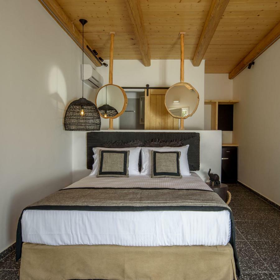 Olive Mykonos Villas Ano Mera Dış mekan fotoğraf